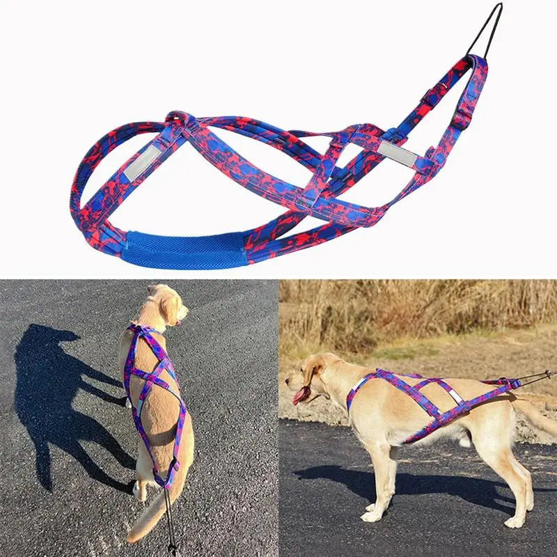 Dog Running Harness Sport Work Out Bikejoring Skijoring Speed Training Dog Pulling Harness Harness Sled Harness