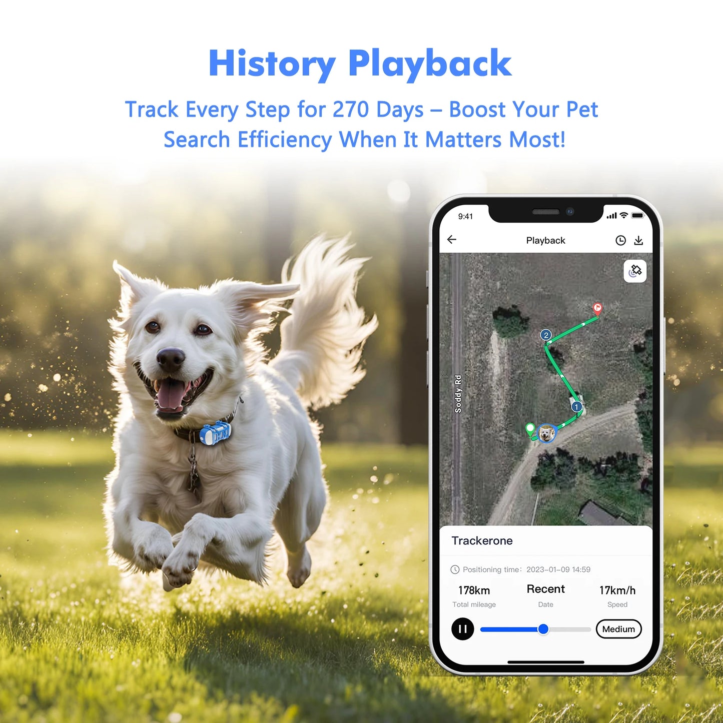 4G Dog Cat GPS Tracker for Pets Waterproof Smart Locator