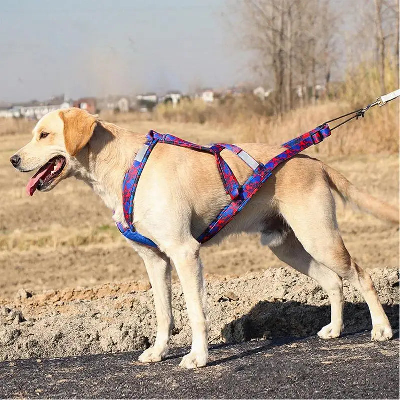 Dog Running Harness Sport Work Out Bikejoring Skijoring Speed Training Dog Pulling Harness Harness Sled Harness