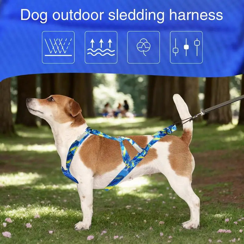 Dog Running Harness Sport Work Out Bikejoring Skijoring Speed Training Dog Pulling Harness Harness Sled Harness